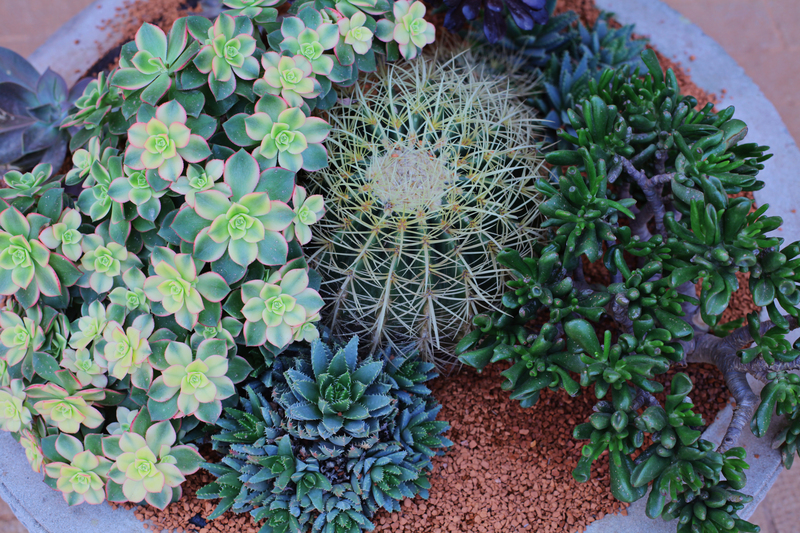 irrigation system garden