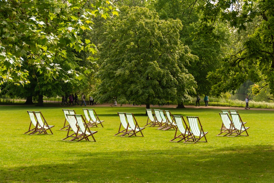 A peaceful park scene during daytime with a neatly maintained grassy lawn bordered by large, leafy trees providing ample shade. Several wooden deck chairs with striped green and white fabric seats are arranged in an organized manner across the lawn, suggesting a setting for relaxation or outdoor leisure. In the background, a few people are strolling along the paved pathways, which run parallel to the tree line, and dense foliage frames the scene, creating a tranquil environment. The lighting is soft with dappled sunlight filtering through the leaves, highlighting the texture of the lush grass and the foliage above. The area appears well-kept, indicative of regular garden maintenance or landscaping work by Gardeners Belsize Park, emphasizing their focus on outdoor care and lawn care in this serene urban green space.
