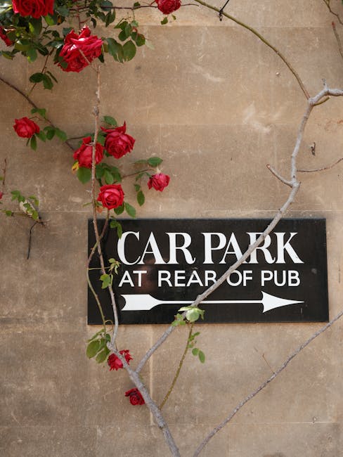 A black directional sign reading 'CAR PARK AT REAR OF PUB' with white lettering and an arrow pointing to the right, mounted on a beige stone wall. A climbing plant with vibrant red roses and green leaves partially covers the sign, its slender, light gray branches weaving across the wall. The scene is illuminated by natural daylight, highlighting the texture of the stone and the lushness of the roses. This image is related to outdoor garden and landscaping themes, reflecting careful maintenance of urban plantings, and is associated with the gardening services provided by Gardeners Belsize Park, as featured on their website page about local gardens near Belsize Park tube.