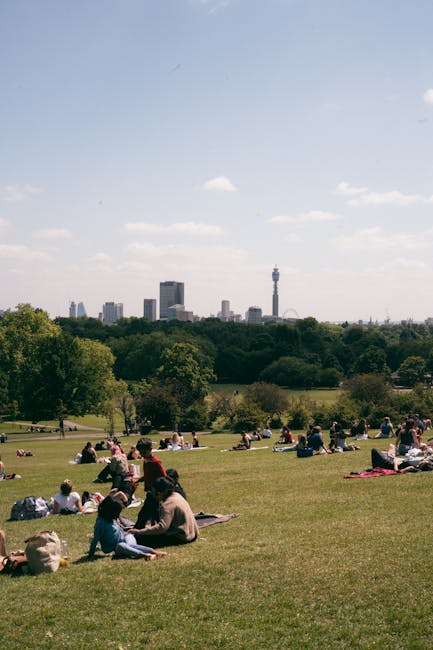 A spacious urban park with a well-maintained grassy area in the foreground, where numerous groups of people are sitting or lying on blankets, enjoying leisure activities in the sunshine. The grass shows a mix of lush green and slightly dry patches, with some areas appearing recently mown. Scattered trees with dense green foliage border the park, providing shade and adding variety to the landscape. In the background, a line of trees separates the park from the city skyline, which features several modern high-rise buildings and a prominent tower with an observation platform. The sky is clear with a few wispy clouds, and the lighting is bright, indicating a sunny day. This scene showcases a vibrant outdoor space suitable for relaxation and community gathering, reflecting the importance of well-maintained gardening and landscaping work by companies like Gardeners Belsize Park.