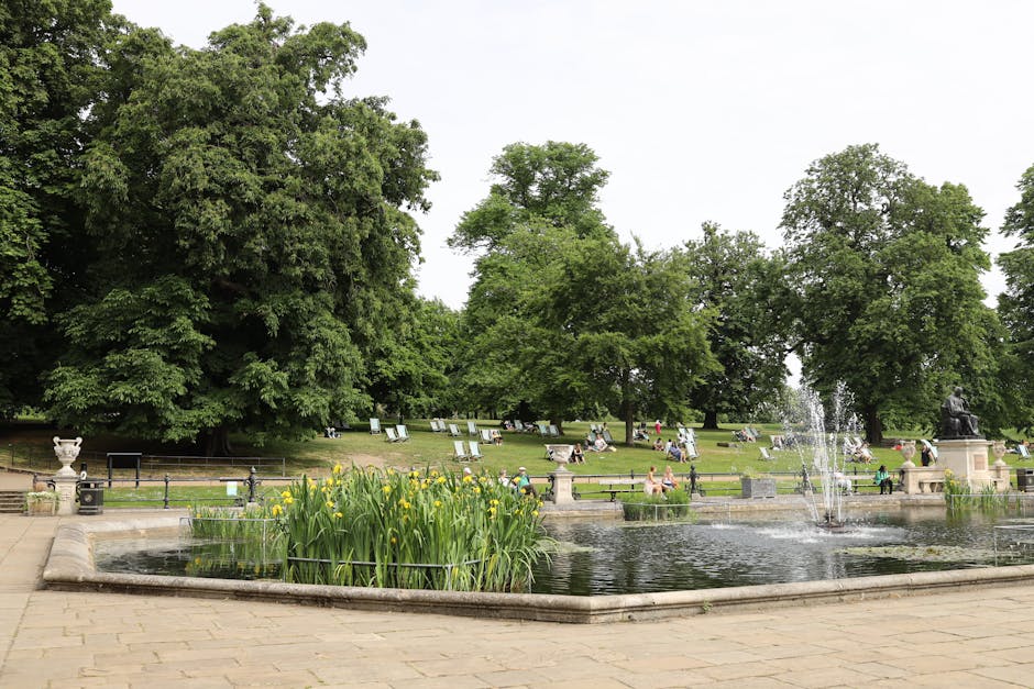A spacious public park scene featuring a large pond with a central fountain shooting water upward, surrounded by lush green trees with dense foliage. In the foreground, there is a flower bed with yellow irises and aquatic plants, bordered by a stone edge. Beyond the pond, the park has well-maintained lawns and a variety of mature trees providing shade. Several white benches are arranged along the grassy area, where people are sitting and relaxing. A decorative stone balustrade with classical urns adorns parts of the pond area, and a few park visitors are walking or enjoying leisure activities. The environment is bathed in natural daylight with overcast sky, emphasizing the vibrant greens of the trees and the calm reflective surface of the water, indicative of careful garden maintenance and landscaping work by Gardeners Belsize Park.