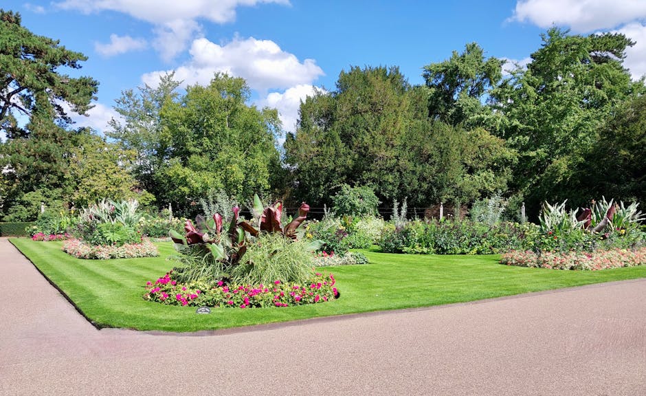 A spacious urban park with a well-maintained grassy area in the foreground, where numerous groups of people are sitting or lying on blankets, enjoying leisure activities in the sunshine. The grass shows a mix of lush green and slightly dry patches, with some areas appearing recently mown. Scattered trees with dense green foliage border the park, providing shade and adding variety to the landscape. In the background, a line of trees separates the park from the city skyline, which features several modern high-rise buildings and a prominent tower with an observation platform. The sky is clear with a few wispy clouds, and the lighting is bright, indicating a sunny day. This scene showcases a vibrant outdoor space suitable for relaxation and community gathering, reflecting the importance of well-maintained gardening and landscaping work by companies like Gardeners Belsize Park.