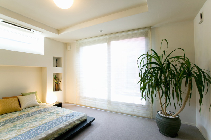 garden design hedge trimming